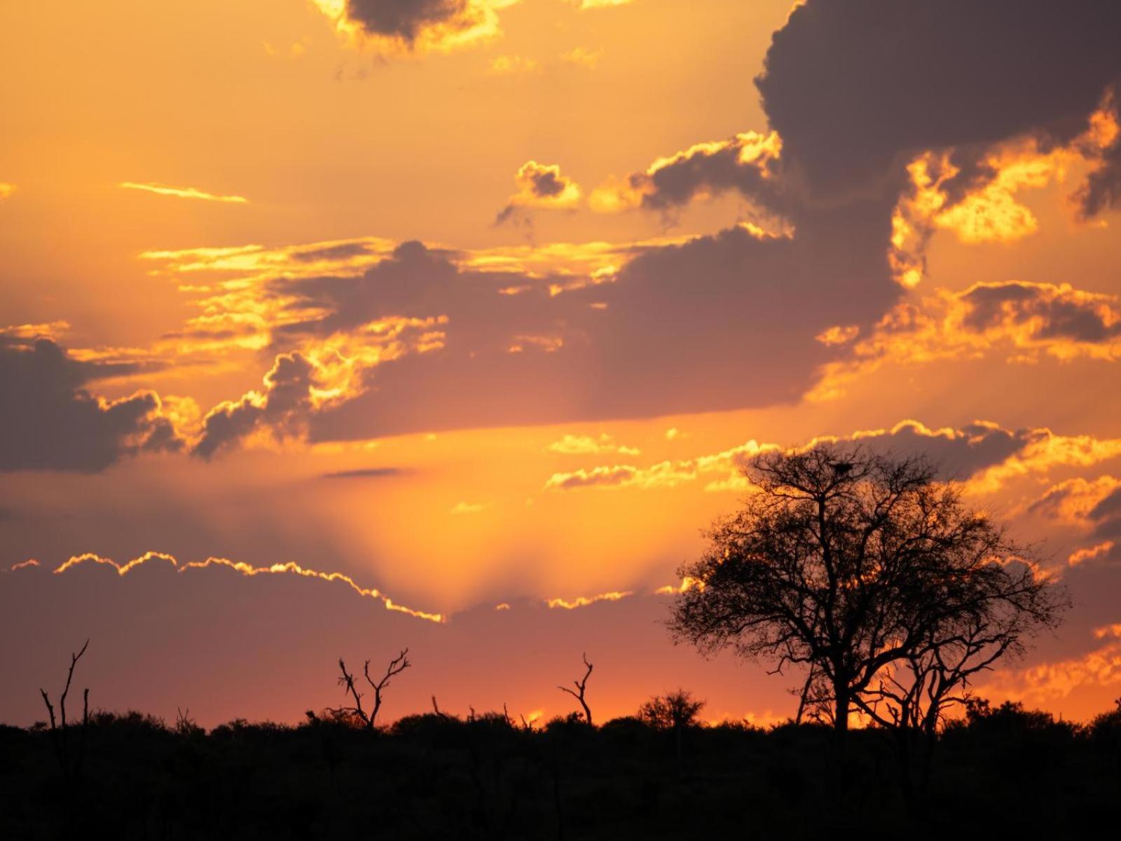 Grace Of Africa, Couples 5 Star Nature Lodge Marloth Park Eksteriør bilde
