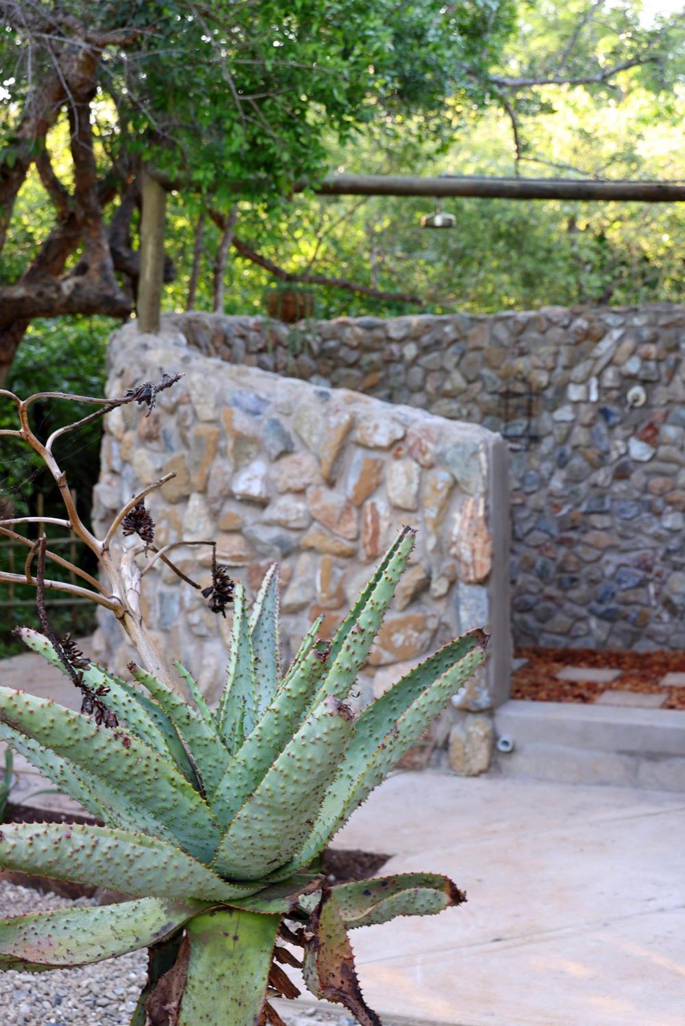 Grace Of Africa, Couples 5 Star Nature Lodge Marloth Park Eksteriør bilde